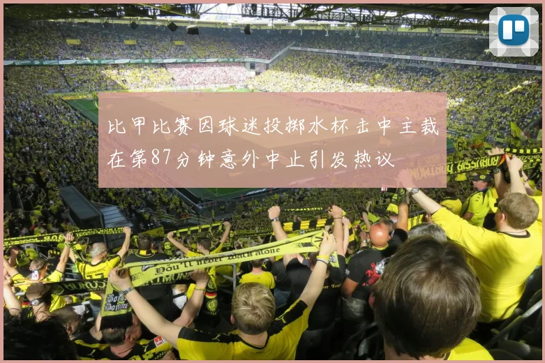比甲比赛因球迷投掷水杯击中主裁在第87分钟意外中止引发热议