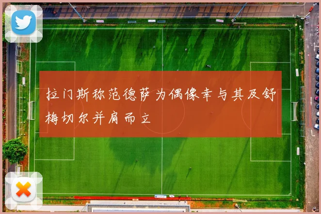 拉门斯称范德萨为偶像幸与其及舒梅切尔并肩而立