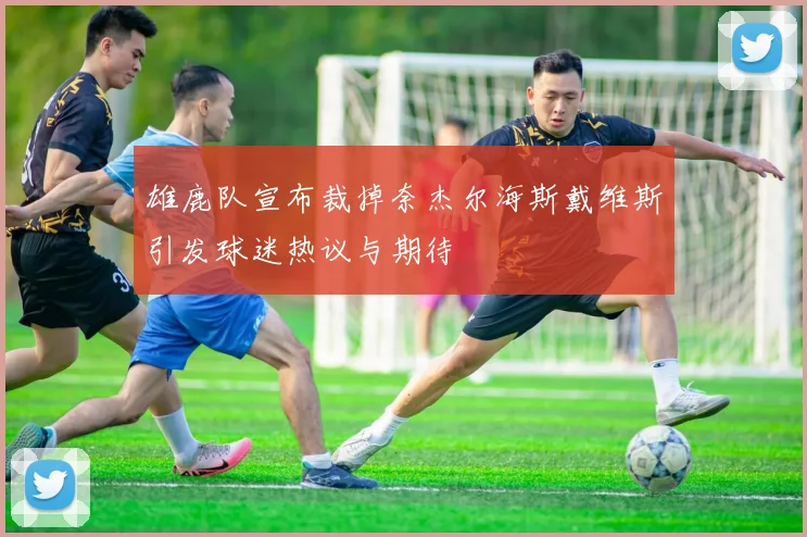 雄鹿队宣布裁掉奈杰尔海斯戴维斯引发球迷热议与期待